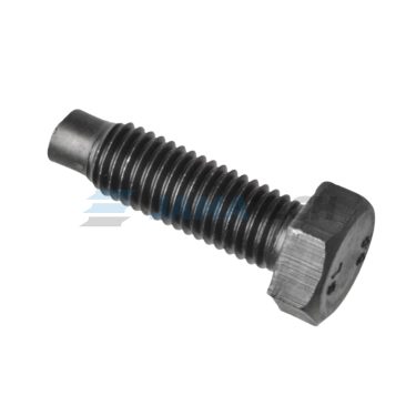 Šroub lešenářský