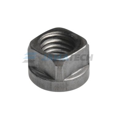 Matice lešenářská